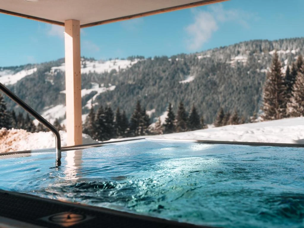 Hotel "Berghotel Wald & Wiesn" mit Wellness in Balderschwang 2