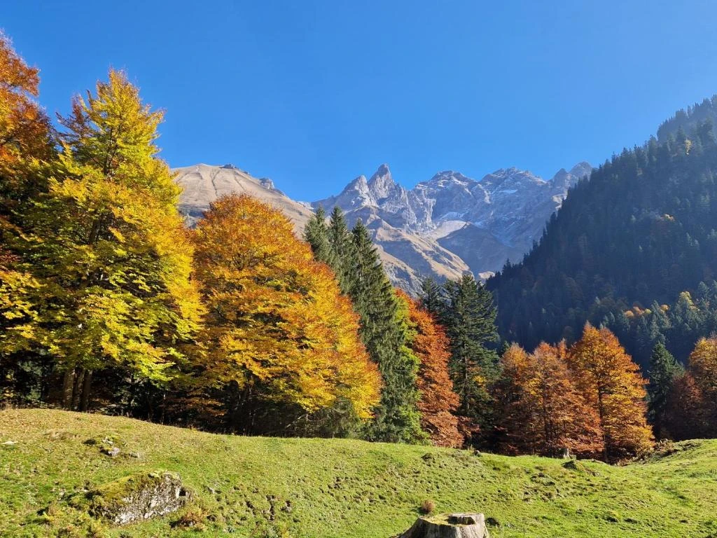 Ferienwohnung "im kühlen Allgäu" mit Hallenbad und Bergblick 3