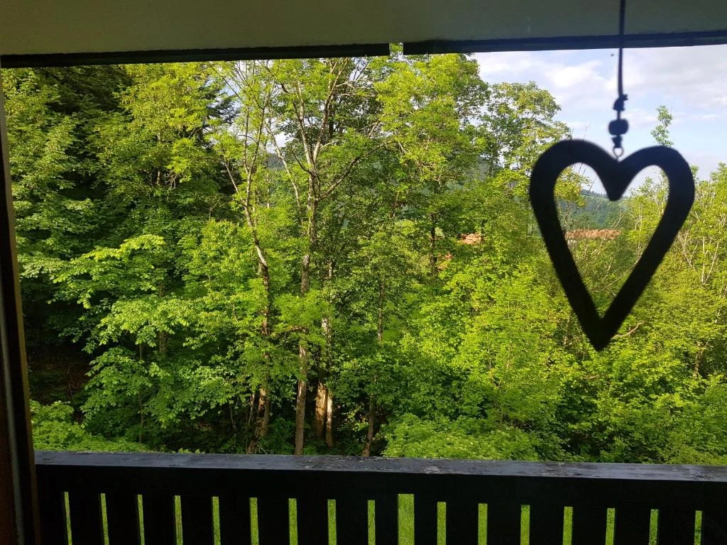 Ferienwohnung "im kühlen Allgäu" mit Hallenbad und Bergblick 2