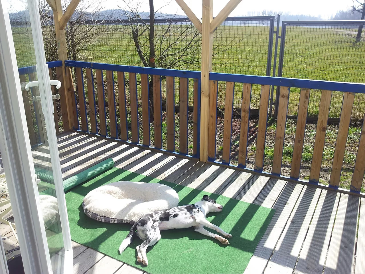 Mobil-Home "Tonis Hütte" mit Bergblick und eingezäuntem Garten nahe dem Bodensee 2