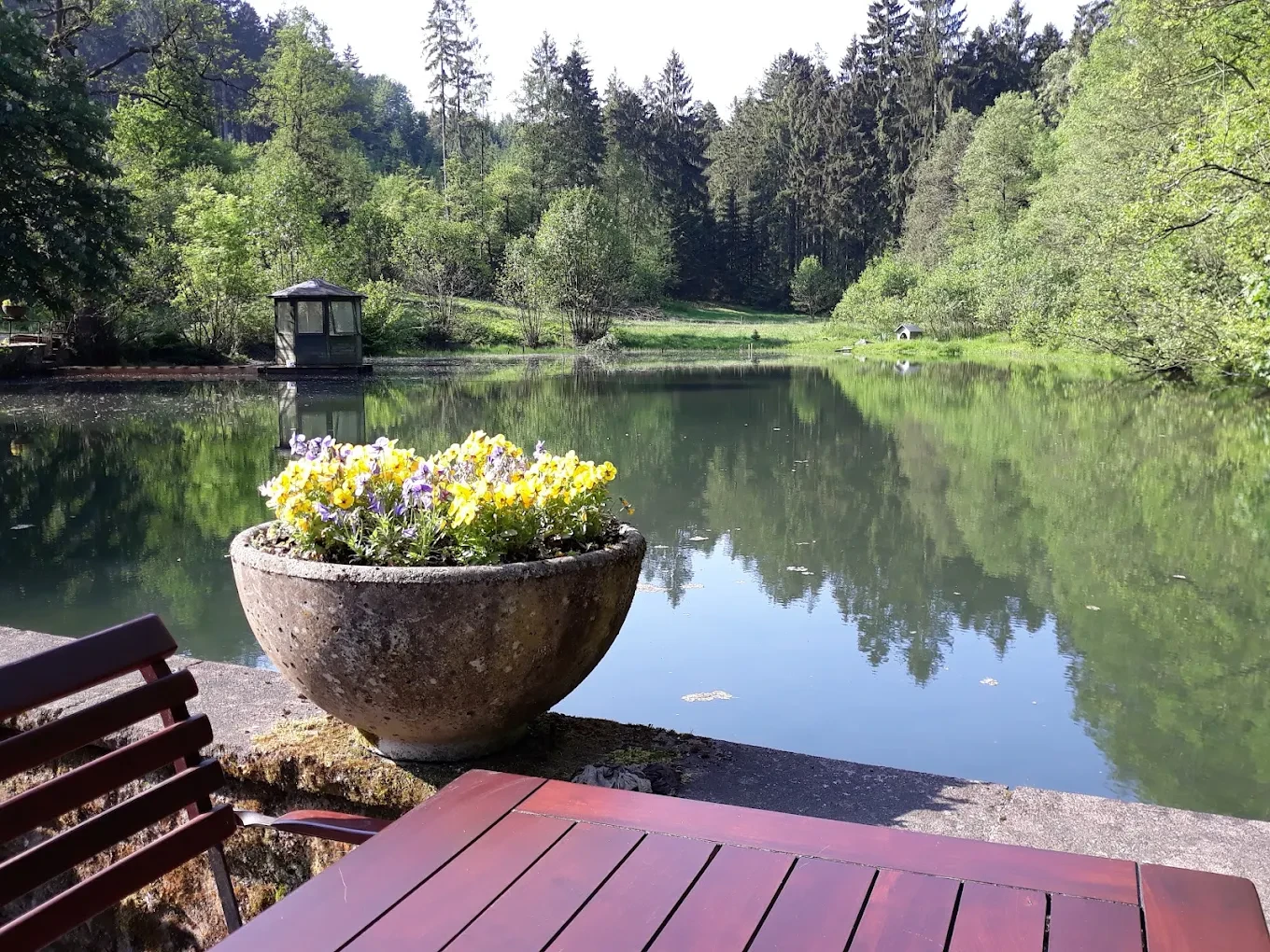 Hotel "Waldhotel Silbermühle" in Alleinlage im Teutoburger Wald 2