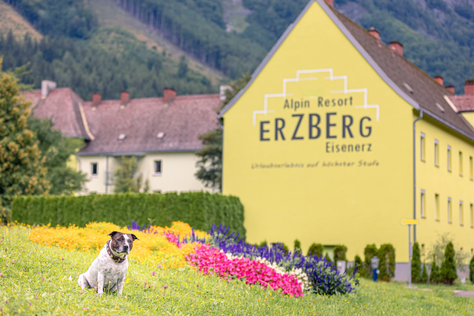 ALPS RESORTS Erzberg Alpin Resort