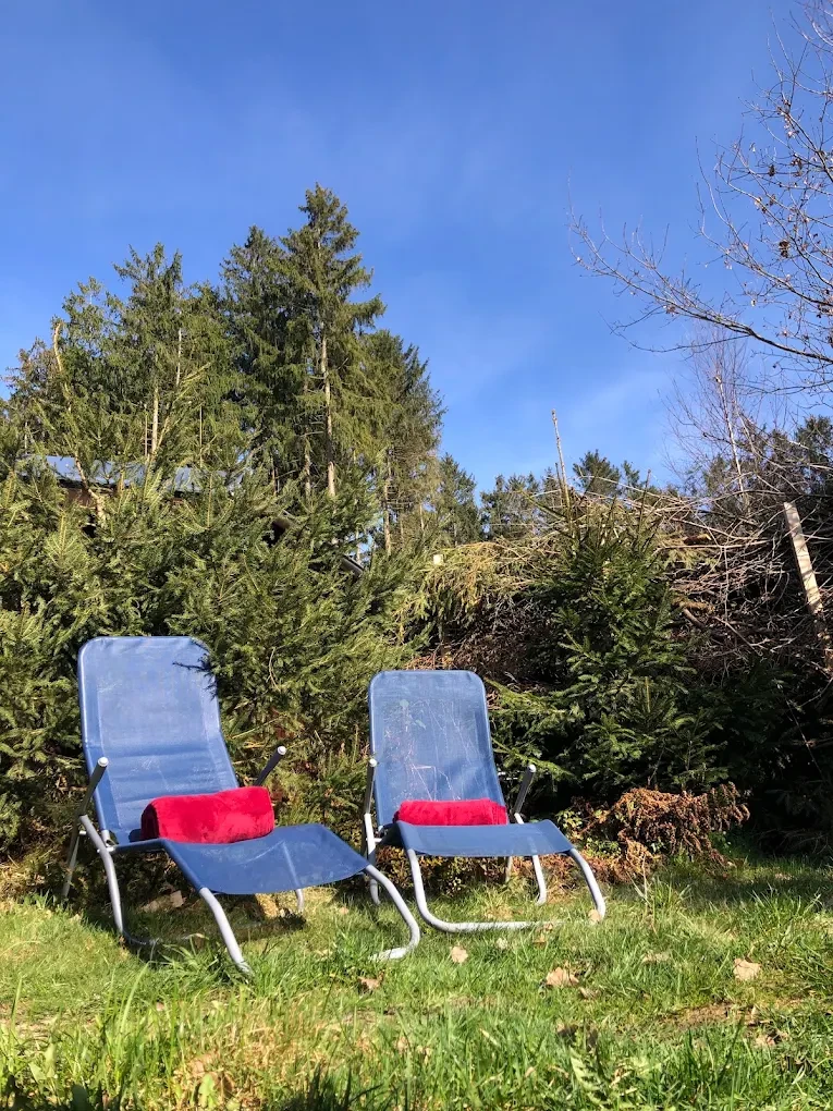 Tiny House "Tiny House im Wald" mit eingezäuntem Garten bei Tanna 4