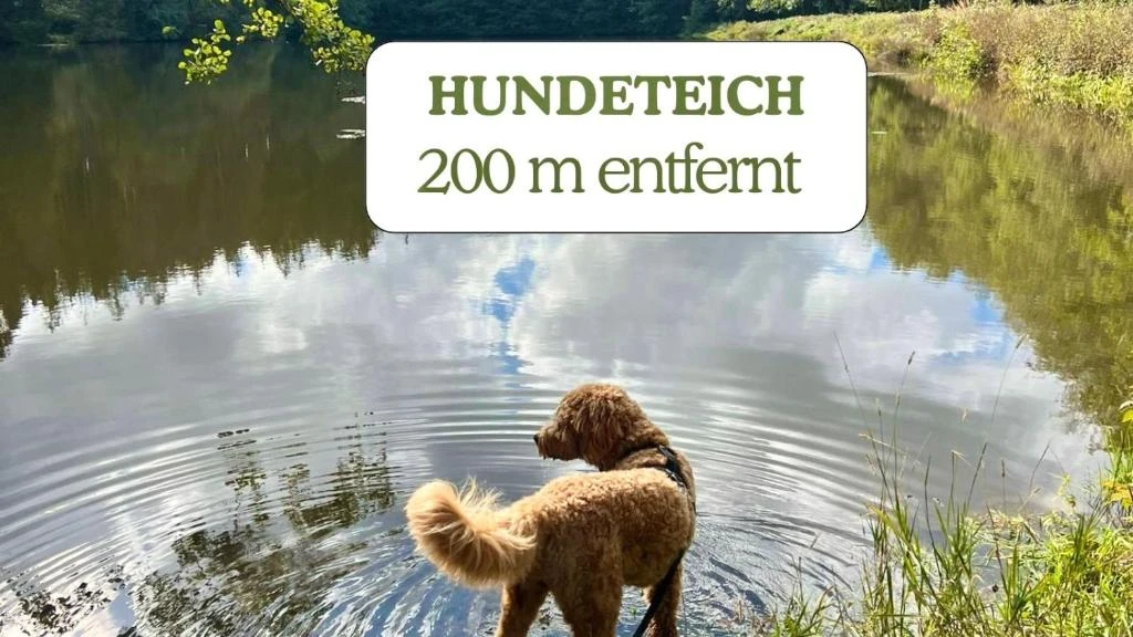 Umgebung 2
