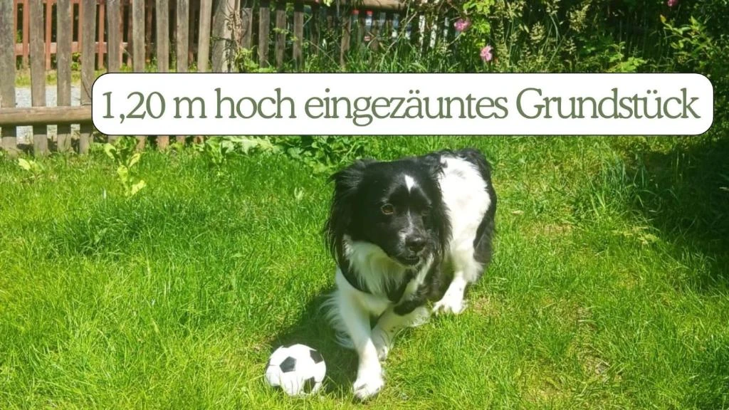 Umgebung 3