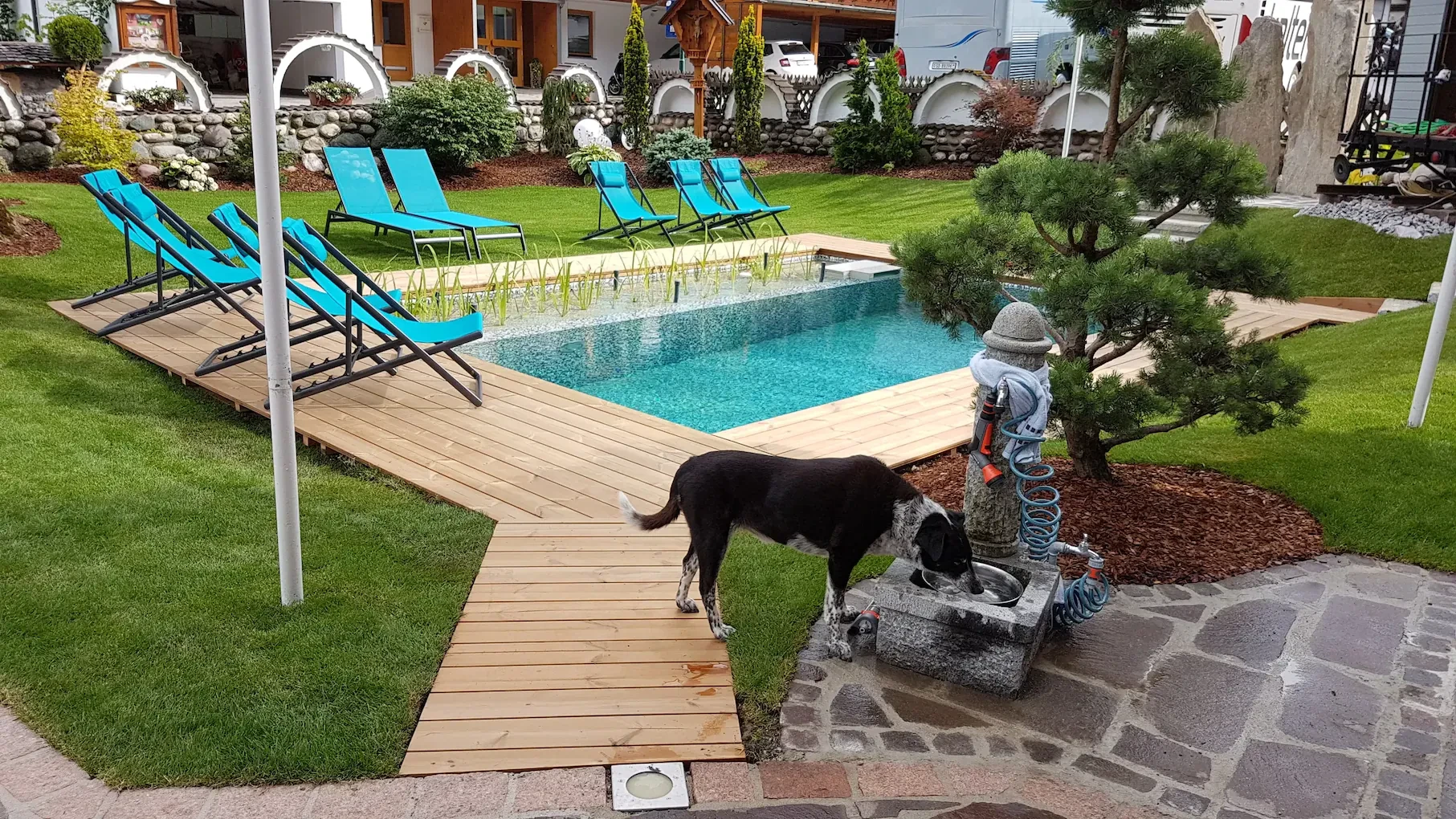hundefreundliches Alpenhotel mit Hundepool am Achensee