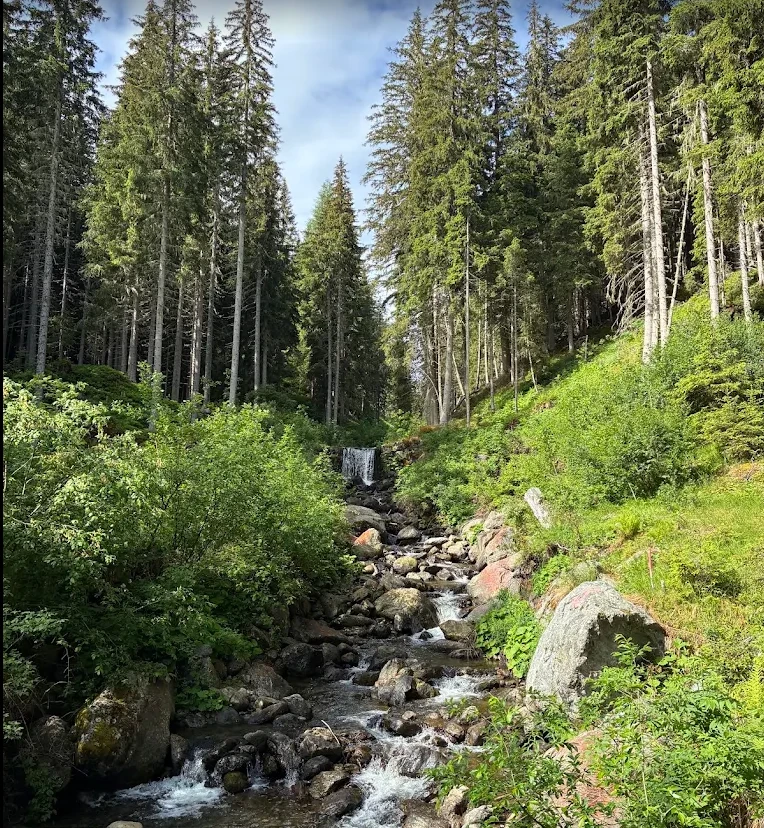 Berghotel "Katschbergstubn" mit Wanderwegen in Sankt Michael im Lungau 4