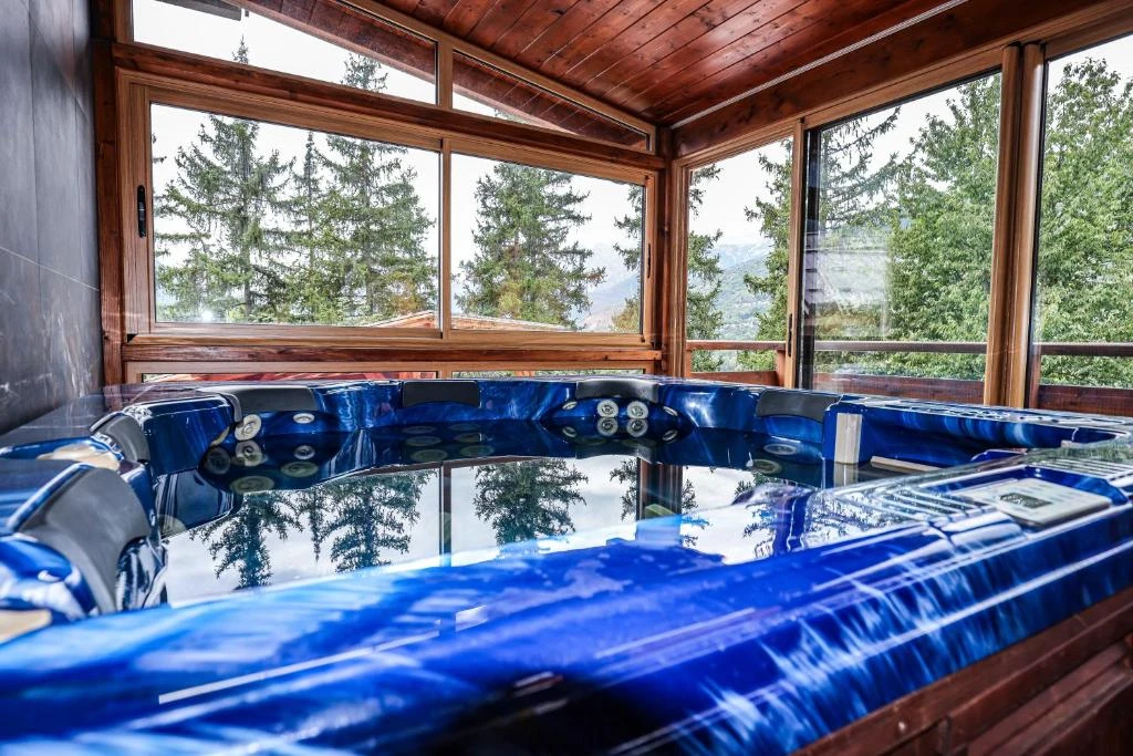 Chalet L'Altizoard 3