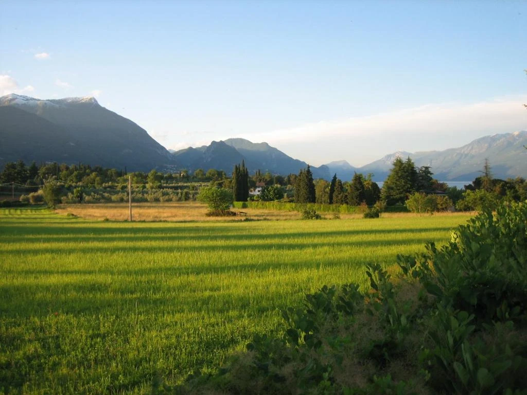 Umgebung 2